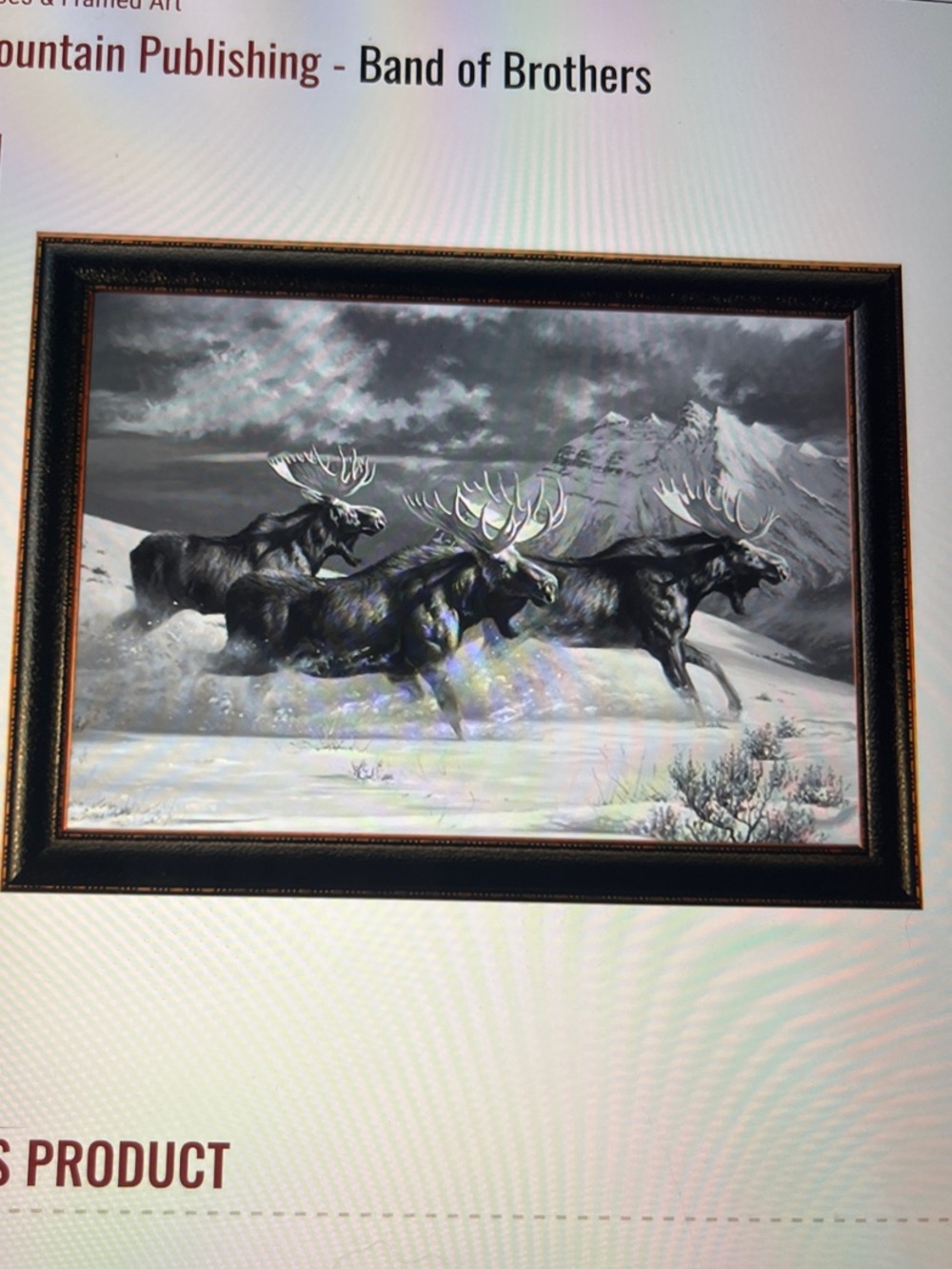 'Band of Brothers' Framed Wall Art - Black and White